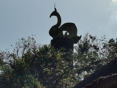 -海南槟榔谷黎苗文化旅游区