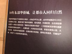 -深圳东部华侨城茵特拉根酒店
