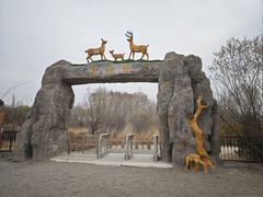 -野鸭湖国家湿地公园