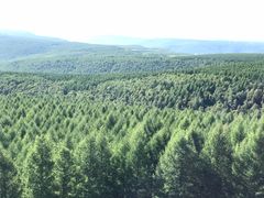 -塞罕坝国家级自然保护区