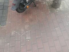 -齐家花园大酒店·本帮菜(宝山店)