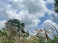 -良渚古城遗址公园