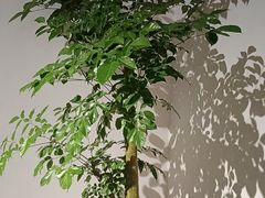 -紫腾大院·南京菜(江宁店)
