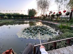 -同銮特种养殖场·龙虾垂钓