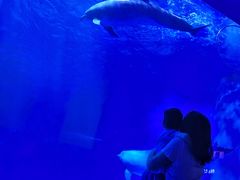 -多彩贵州城极地海洋世界