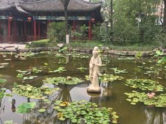 -文瀛公园