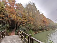 -同里国家湿地公园