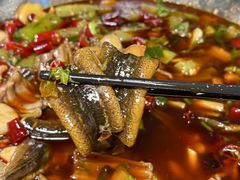 -乐山第一家临江鳝丝(茶坊路店)