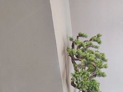 -端艾堂·SPA·艾灸(棕榈泉013店)
