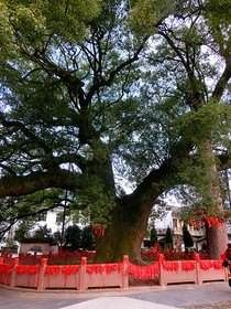 -新安江山水画廊风景区