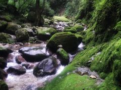 -牛背梁国家森林公园
