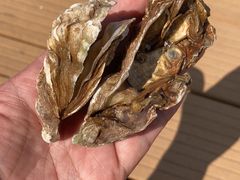-东疆建设开发纪念公园