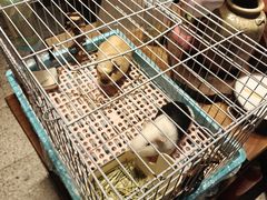 -谷咖啡·鲜花绿植花园餐厅