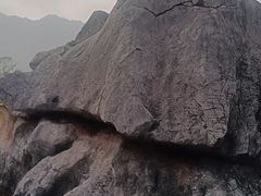 -千岛湖石林