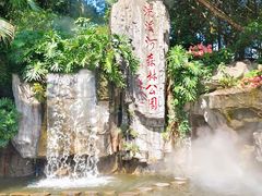 -广州市流溪河国家森林公园