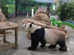 -临沂动植物园