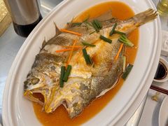 -老大连·海肠捞饭·大连海鲜大连菜(西安路店)