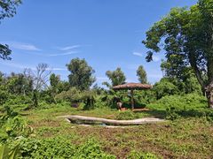 -海南热带野生动植物园
