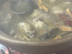 -威邵鸡煲(西华路总店)