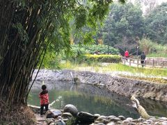 -成都市活水公园