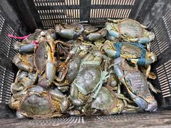 -無招牌海鮮(芽笼店)