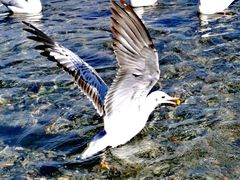 -丽江泸沽湖景区