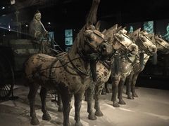 -骏途旅游