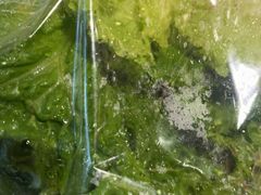 -新石器烤肉(之心城店)