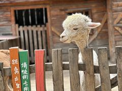 -幽岚山·童话森林