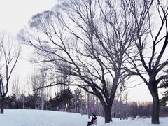 -朝阳公园