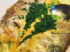 烧椒汁大黄鱼-飶香居(省博物馆店)