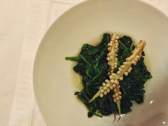酒香豆苗-西郊5号·Maggie 5