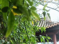 -白帝城·瞿塘峡景区