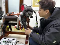 -美联众合动物医院·24h转诊中心