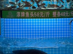 -千岛湖小鱼儿·淳安匠心农家菜