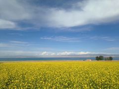 -青海湖国家重点风景名胜区