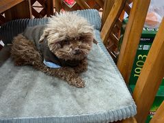 -渔家小院观海海肠捞饭地方菜(环海中路店)