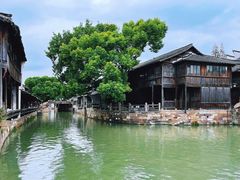 -乌镇东栅景区