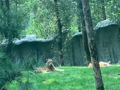 -北京野生动物园