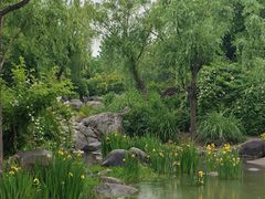 -新虹桥中心花园