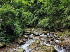 -西岭雪山大飞水景区