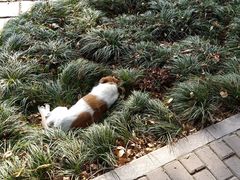 -南京特殊教育师范学院(燕子矶校区)
