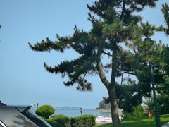 -棒棰岛宾馆景区