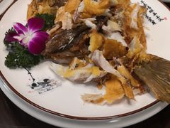 手撕鲈鱼-蒙阴光棍鸡(新石中路店)