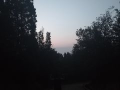 -长虫山生态公园风景林