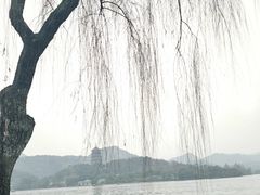 -柳莺湖上·湖景餐厅·江南菜(西湖店)