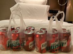 -乌鲁木齐环球国际大酒店
