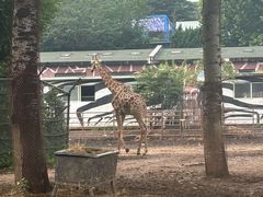 -大连森林动物园