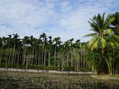 -红色娘子军纪念园