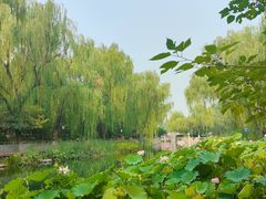-南长河公园